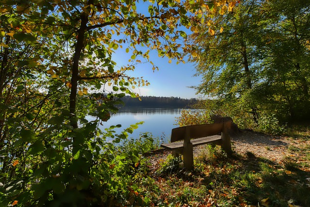 线上讨论也 线上讨论也