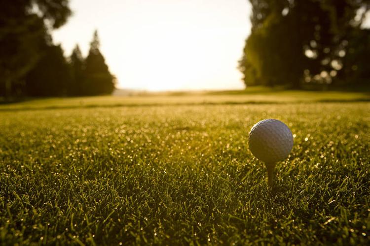 他卓越的身 他卓越的身